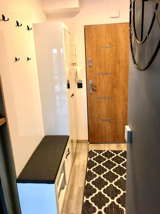 Apartament Na Skrzypka Цешин Экстерьер фото